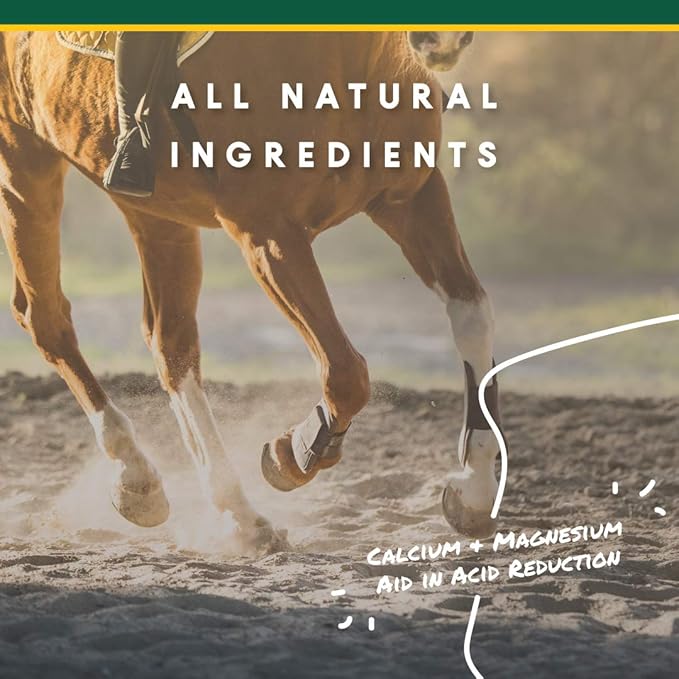 Corta-Flx U-Gard Pellets - Equine Digestive Supplement to Maintain Gastric Health - Helps Prevent Ulcer Formation - 10 LB