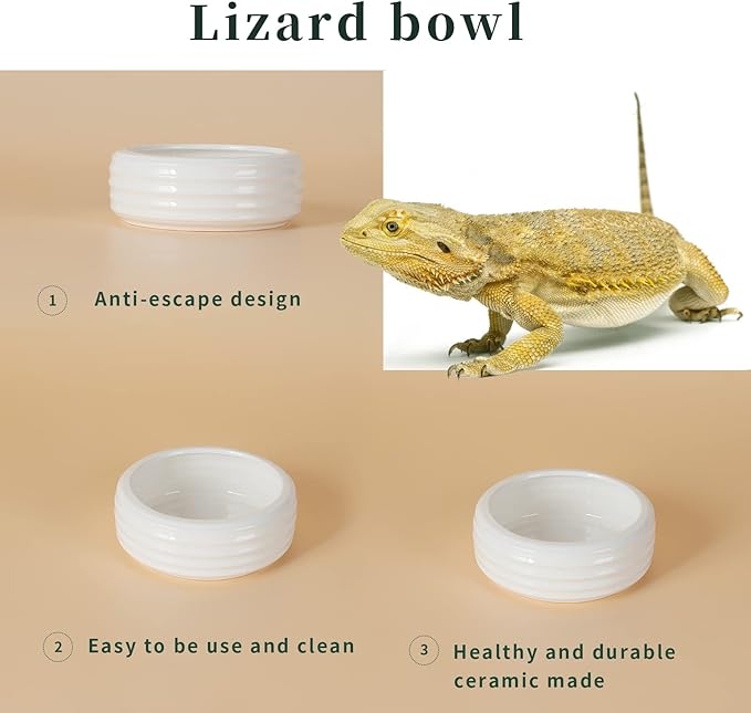 Reptile Food Bowls Ceramic Round Reptile Water Food Dish, Pet Food Bowl for Lizards, Small Snakes, Young Bearded Dragons, Gecko Tortoise Spider (White, Medium-1Pack)