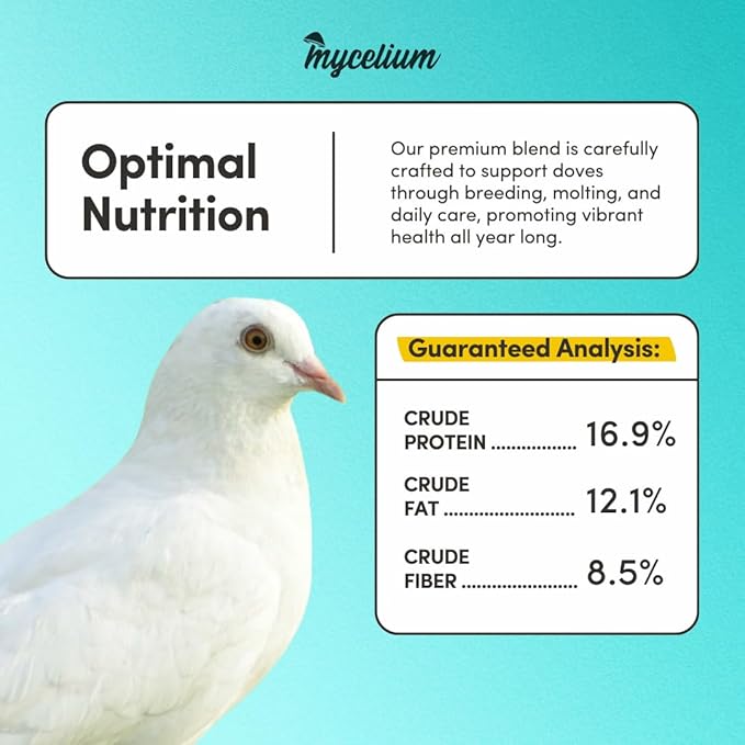 Mycelium Dove Premier Wild Bird Seed (5 LB Bag) | Organic, High-Protein Bird Food for Doves, Pigeons & Ground-Feeding Birds | Supports Brain & Heart Health | Non-GMO, USA Made, Filler Free