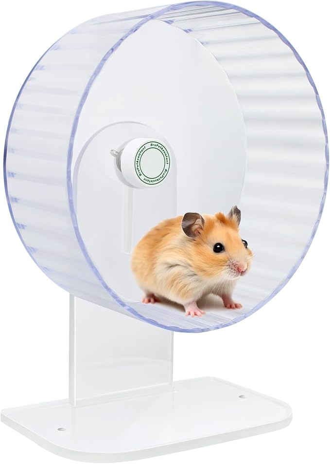 Silent Hamster Exercise Wheels - Fully Transparent, Height Adjustable Running Exercise Wheels for Various Small Animals (Medium)