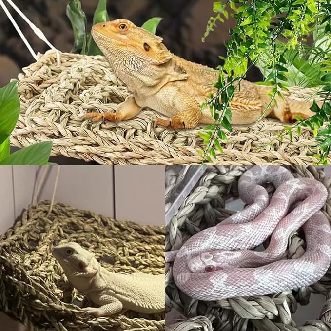 Tfwadmx 2Pcs Bearded Dragon Hammock Lizard Lounger Natural Seagrass Fiber Reptile Habitat Decor with Vine Plant for Hermit Crabs Geckos Snakes