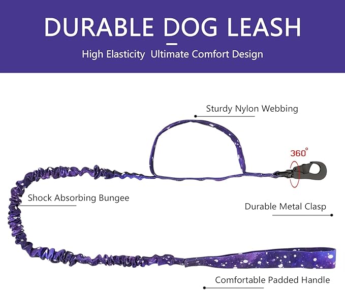 DAGANXI Tactical Dog Collar, Adjustable Military Training Nylon Dog Collar with Control Handle and Heavy Metal Buckle for Medium and Large Dogs, with Patches and Airtags Case (XL, Purple Sky-Set)