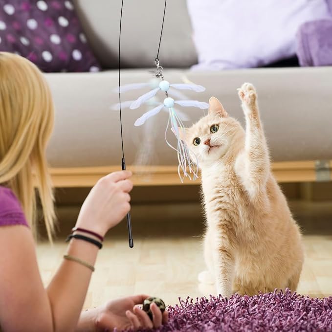 PAZ'S GIFT Cat Wand Toys, Rotating Feather 2 Piece Catnip wzggle Sounding Toy, Soft and Durable, Interactive cat Kick Toys for Indoor Play