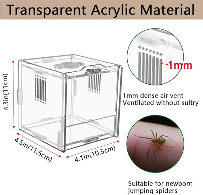 Acrylic Jumping Spider Enclosure, Small Reptile Terrarium Habitat for Tarantula Snail Insect Small Reptile (4.5x4.3x4.1inch)