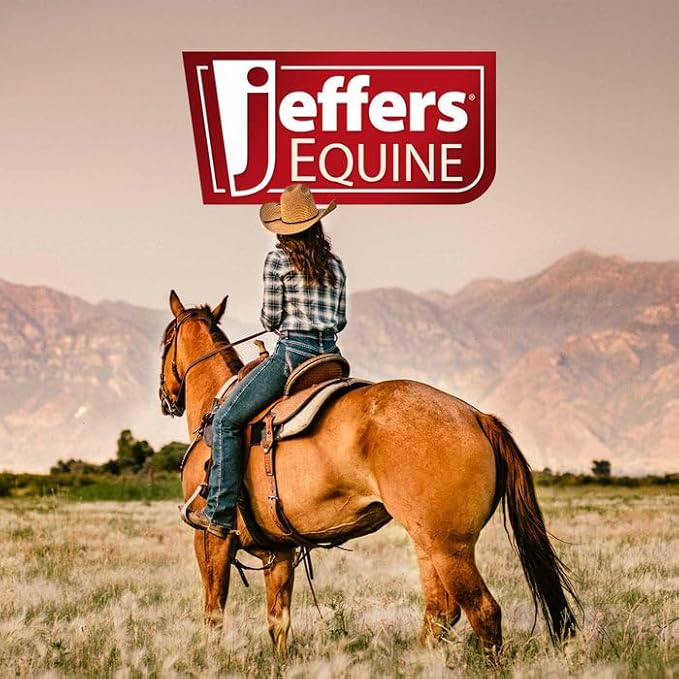 Jeffers Equine Citronella Aloe Horse Shampoo – pH Balanced, All Natural, Deodorizing Wash for Horses, Pony, Foals – Natural Citrus Scent – Gentle Grooming for Soft Coat, Tail & Mane – 1 Gallon