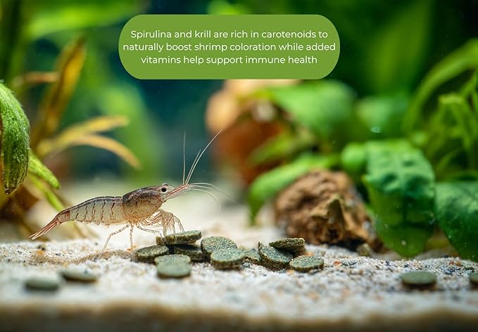 Shrimp Food 4.6 oz – High Protein Discs with Spirulina, Probiotics, and Calcium for Neocaridina, Caridina, Crystal Shrimp & Aquatic Invertebrates – Molting Support