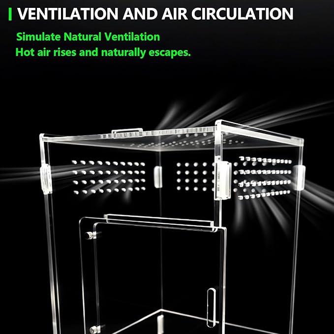 Acrylic Jumping Spider Habitat, Insect Terrarium, for Spiders, Tarantulas, Snail, Mantis, Lizard, and Small Reptiles, with Two Magnetic Doors and one Feeding Trough (6x6x9 inch)