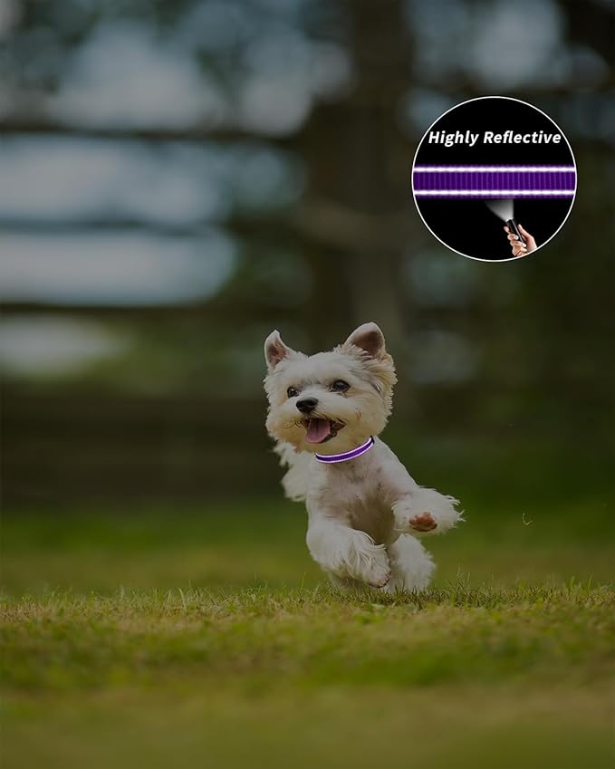TagME Reflective Nylon Dog Collars, Adjustable Classic Pet Collar with Quick Release Buckle for Extra Small Dogs, Purple, 5/8" Width