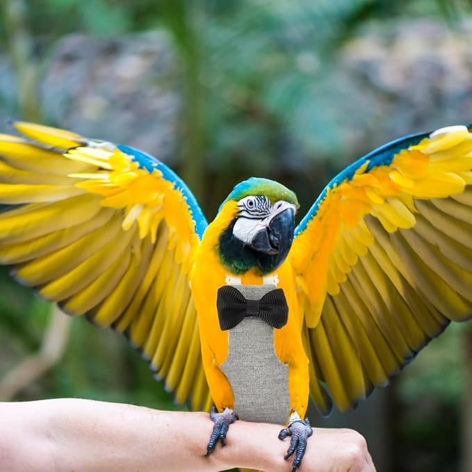 balacoo Bird Diapers Parrot Flight Suit: 4PCS Washable Flight Suite Liners Waterproof Pigeon Pants Flying Bird Diapers for Macaw Parakeet