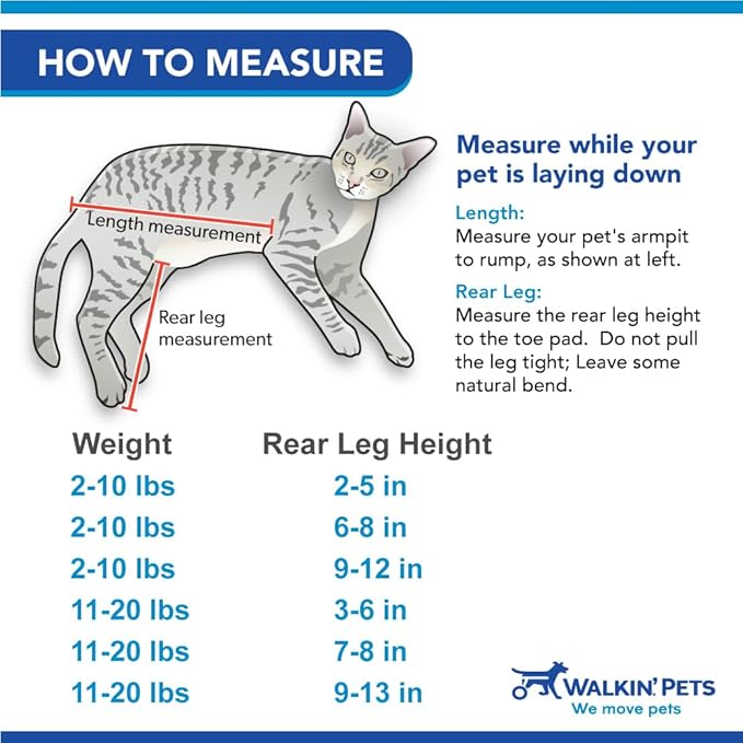 Walkin' Wheels Lightweight – for Small Cats 2 to 20 Pounds – Veterinarian Approved – Cat Wheelchair for Back Legs, for Cats 11-20 lbs, 9-13 inches Leg Height – Seafoam