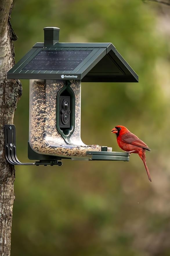 Smart Bird Feeder with AI Identification & HD Camera – Solar-Powered Wi-Fi Feeder Sends Photos & Videos to Your Phone – Includes Pole Mount, Bird Seed, 32GB SD Card, & Cleaning Cloth