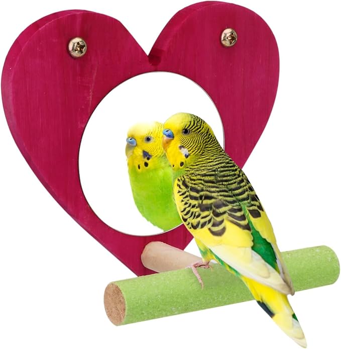 Hypeety Bird Mirror Toy Cage Standing Perch Wood Toy Parrot Parakeet Budgies Cockatiel Conure Finch Lovebird African Grey Macaw Amazon Cockatoo Birdcage Wood Stand Perch(Color Random) (Heart Shape)