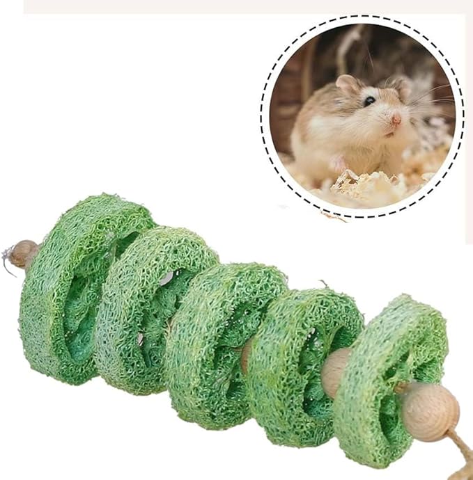 2PCS Fruit Flavor Loofah Chew Toys Guinea Pig Chew Toys for Teeth Rabbit Toys Guinea Pig Toys (Green)