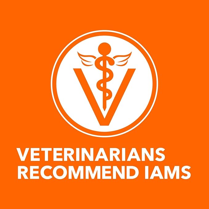 IAMS Proactive Health Healthy Kitten Dry Cat Food with Chicken, 3.5 lb. Bag