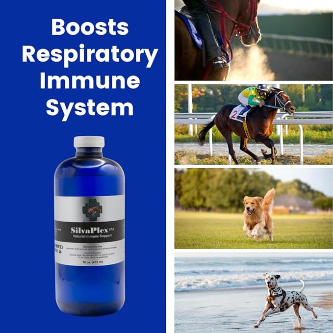 Natural Immune Support Solution for Dogs, Cats, Horses, Small Animals, 100 PPM Chelated Silver (8 oz)