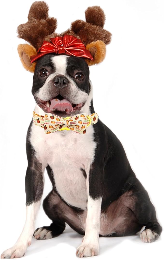 Dog Collar, Thanksgiving Turkey Pet Collar Bow Holiday Girl Boy Bow Puppy Collar Adjustable for X-Large Dogs