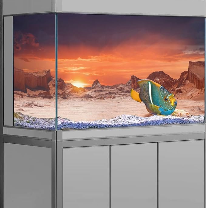 24X12IN Sun and Desert Moon Themed Reptile Habitat on Orange Durable Decorative Background, Terrarium Background with 10EVA Double-Sided Tape