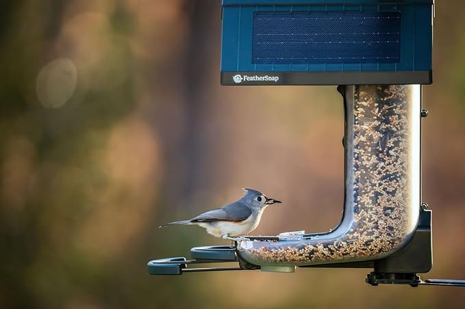 Smart Bird Feeder with AI Identification & HD Camera – Solar-Powered Wi-Fi Feeder Sends Photos & Videos to Your Phone – Includes Pole Mount, Bird Seed, 32GB SD Card, & Cleaning Cloth