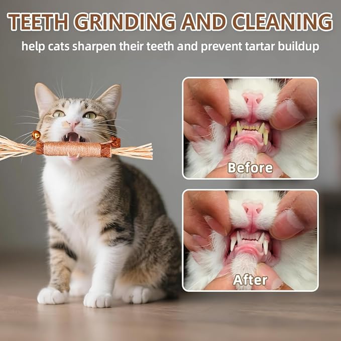 Natural Dried Matatabi Cat Chew Stick with Gall Fruit, Raffia Grass & Bell Cat Ball Toys, Handmade Silvervine Sticks Interactive Catnip Toys for Teething & Entertainment (Size L Color B)