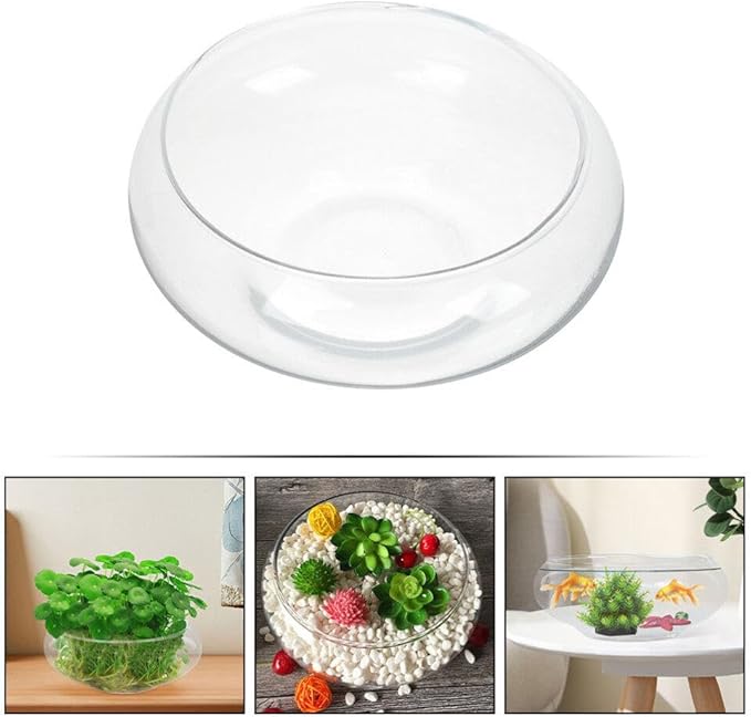 Glass Bubble Bowl - Wide Mouth Flower Vase Clear Bubble Planter Terrarium Aquatic Plant Pot Shallow Fish Tank for Centerpiece Hydroponic Succulent