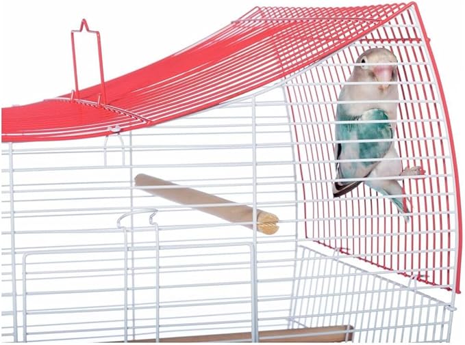 Rustic Retreat Top Bird Cage with Durable Metal Construction, Spacious Interior, and Convenient Top Access Lime Green/Wave Top