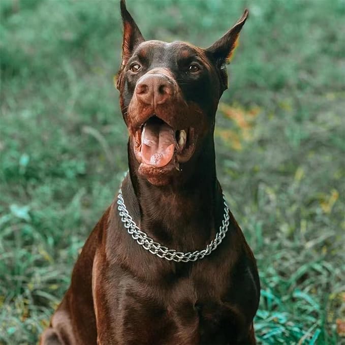 Silver Dog Choker Collar,2 Rows Stainless Steel Dog Chain Cuban Link Metal Martingale Collar Heavy Duty Training Choke Collar for Small Medium Large Big Breed (Silver, M(Neck Max 16inch) D2.5mm)