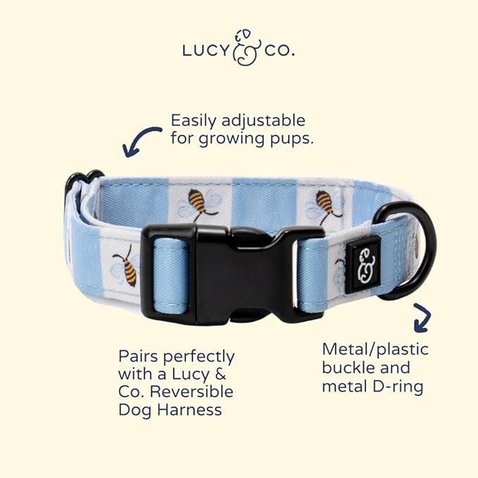 Lucy & Co. Bumbling Around Dog Collar, Adjustable Durable Dog Collar with Cute Print, Medium
