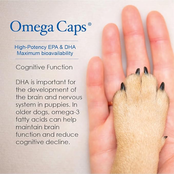 Omega Caps HP Snip Tips for Medium and Large Dogs High Potency EPA and DHA Maximum Bioavailability Fish Oil Supplement Vet Formulated Made in USA Skin Coat Joint and Heart Health 250 Capsules