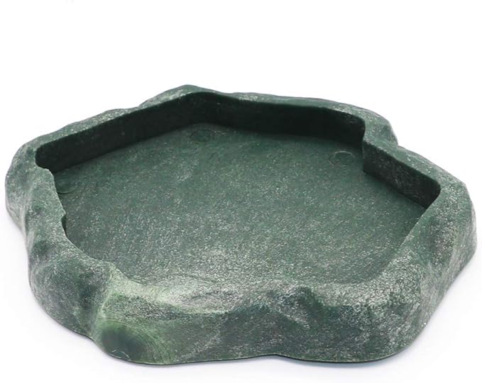 SLSON Small Reptile Feeder Terraium Bowl Plastic Shallow Reptile Feeder for Food and Water Feeding Dish for Lizard Gecko Junior Bearded Dragon,Small Green