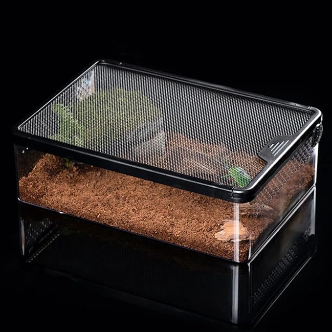 Reptile Feeding Box Clear Terrarium for Geckos, Frog, Lizards, Chameleons, Serpents, Scorpion, Snail, Insect, Hermit Crab, Isopods - 12.6x8.6x3.9inch