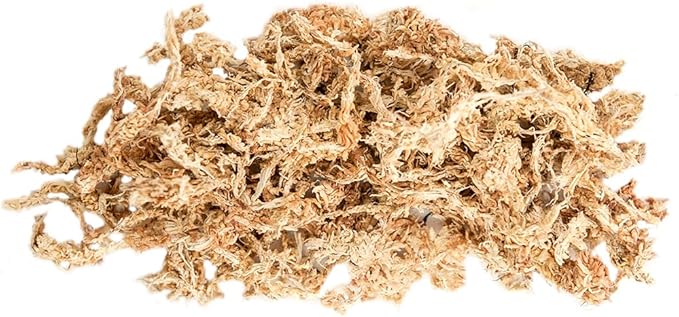 SuperMoss (22325) Orchid Sphagnum Moss Dried, Natural, 1 Pound Mini Bale
