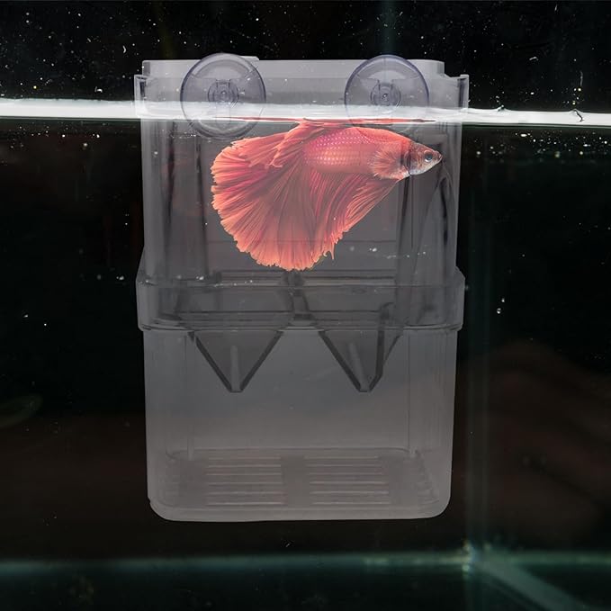 2 Pieces Floating Fish Breeder Box for Aquarium Divider, Transparent Fish Isolation Breeding Box with Suction Cups, Shrimp Tank Hatchery Fry Incubator for Clownfish Betta Guppy Acclimation