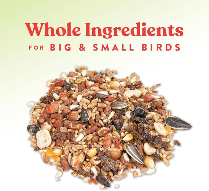 Manna Pro Harvest Delight - Whole Ingredient Chicken Treat - Harvest Mix of Grains, Raisins, Tomatoes, Carrots, Sunflower Seeds - Mixed Flock Poultry Treat - 2.5 lbs