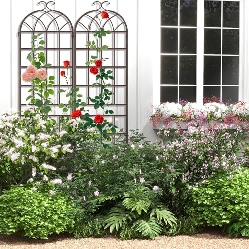 82.7 x 40in Rustic Iron Arch Decoration Garden Trellis with Metal Coating (2 Count)