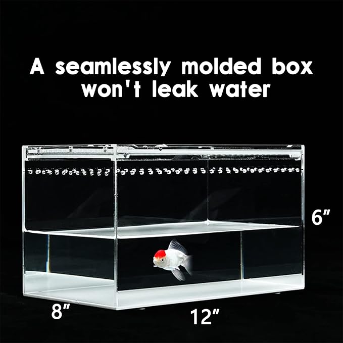 Reptile Terrarium - Amphibian Tank Starter Kit, Eco Rainforest Feeding Box, Amphibian Feeding Box, Suitable for breeding Lizards, Snakes, Chameleons,Jumping Spiders