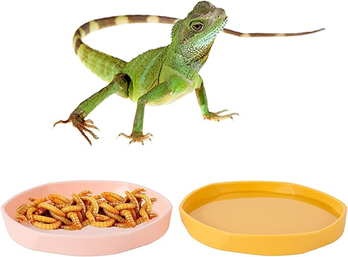 COMSUN 4 Pack Small Reptile Food Dish Bowl, Plastic Worm Water Dish Plate for Lizard Gecko Bearded Dragon Chameleon 4" W x 4" D x 0.5" H, Blue and Yellow