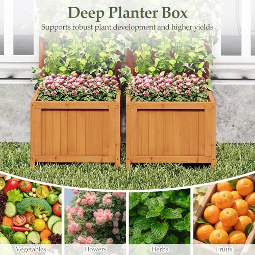 48" Raised Garden Bed with Trellis & Garden Box