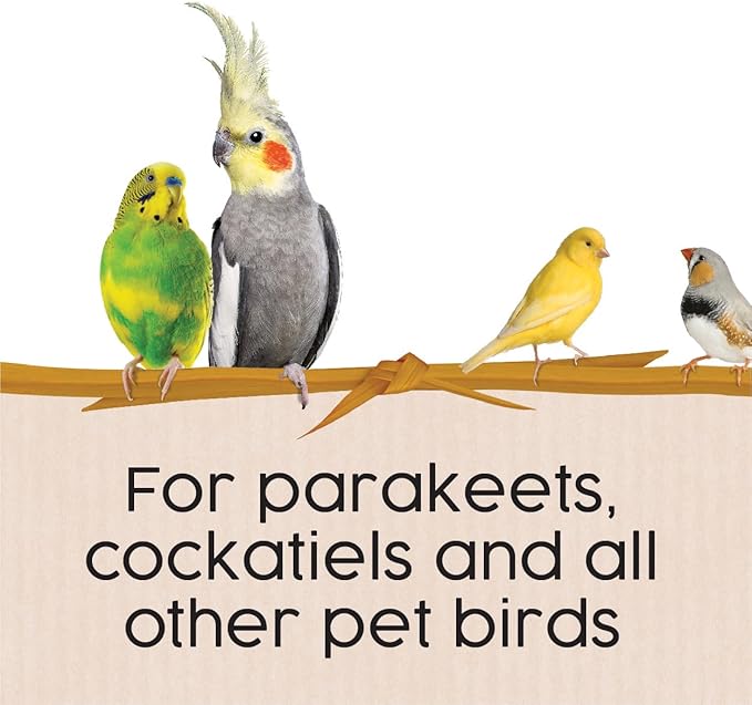 Sun Seed Company Bss10911 Small Bird Millet Spray Treats, 5-Pound