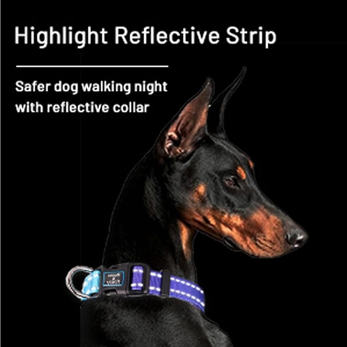 Roses&Poetry Reflective Dog Collar with Gradient Violet, Adjustable Durable Pet Collars for Small Medium Large Dogs (Violet-L)