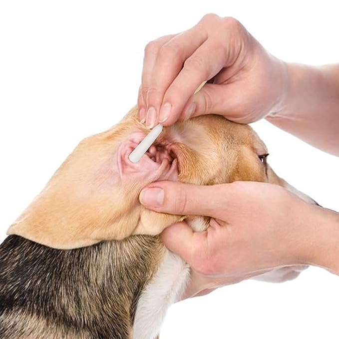 6 Inch Long Cotton Swabs of Medium and Large Pets Ears Cleaning or Makeup 200pcs