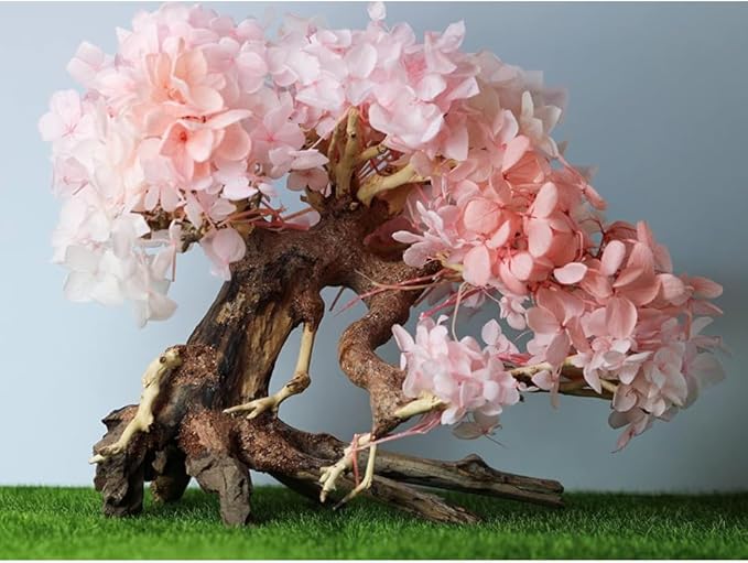 Bonsai Driftwood Aquarium Tree (8in H x 6in L), Handcrafted Fish Tank Decoration | Easy to Install Driftwood Bonsai for Fish Tank | Decor Aquascape Wood (Bonsai Tree)