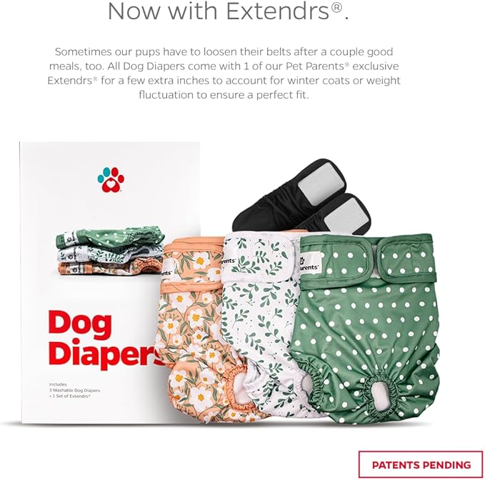 Pet Parents® Washable Dog Diapers (3pack) + Extendrs® of Durable Doggie Diapers, Premium Dog Diapers Female (Small, Daisy)