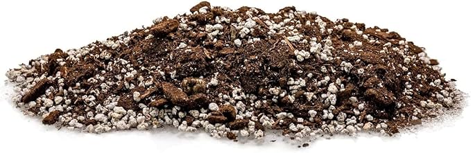 GARDENERA Palm Tree Potting Mix - The Ultimate Soil for Strong and Healthy Palms - Top Choice for Palm Tree Growers [4 Quart Bag]