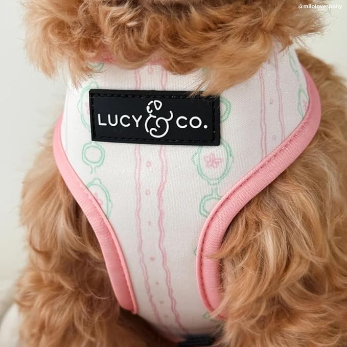 Lucy & Co. Sipping Slowly Reversible Dog Harness, Adjustable Comfort Fit with Dual Leash Attachments, X-Small