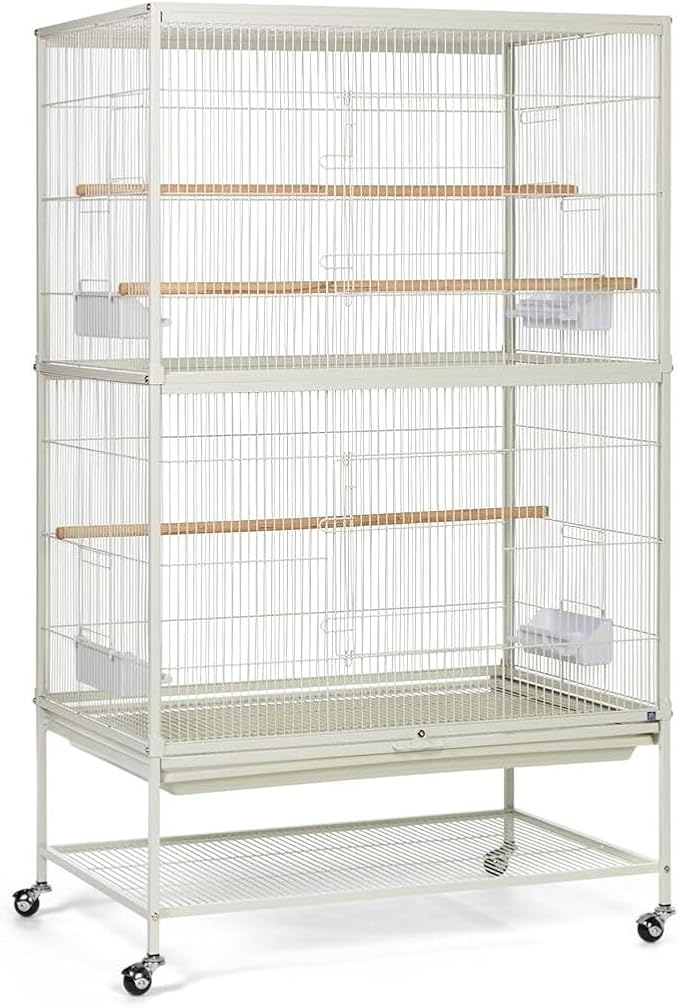 French Fabulous Iron Flight Cage with Elegant Ironwork, Spacious Interior, Durable Construction, and Ample Room for Birds to Fly, Play, Chalk White/53 H