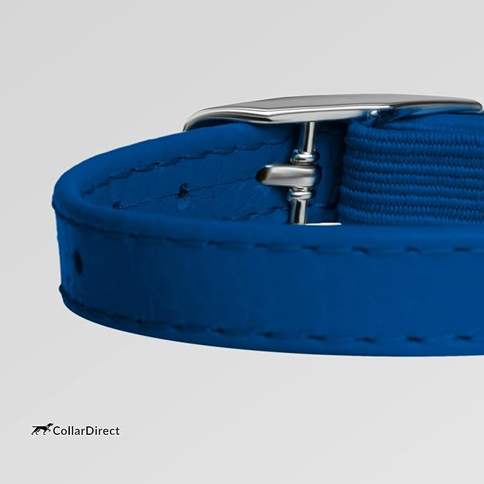 CollarDirect Leather Cat Collar with Removable Bell (Navy Blue, 6-7 Inch)
