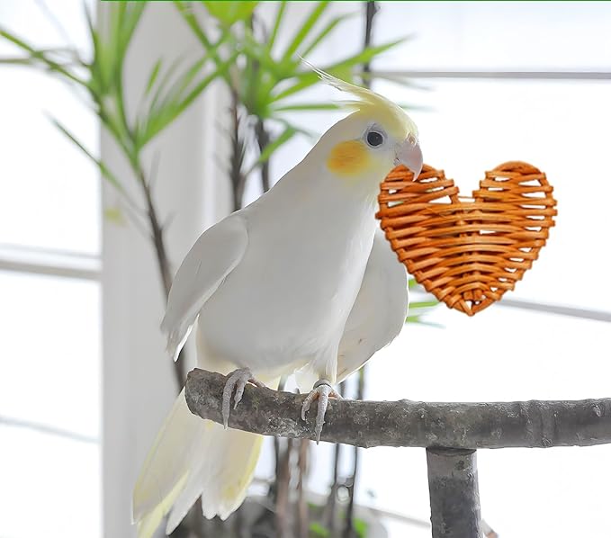 Bird Toys, Variety Natural Bird Foraging & Shredding Toys Boxes, Safe Parrot for Cockatiel ，Lovebird，Cockatoo，Macaw ，African Grey Parrot & Small Birds