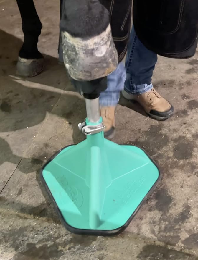 HOOF-IT Blacksmith Hoof Stand Green Pro