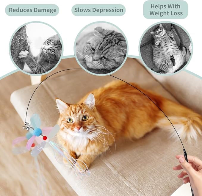 PAZ'S GIFT Cat Wand Toys, Rotating Feather 2 Piece Catnip wzggle Sounding Toy, Soft and Durable, Interactive cat Kick Toys for Indoor Play