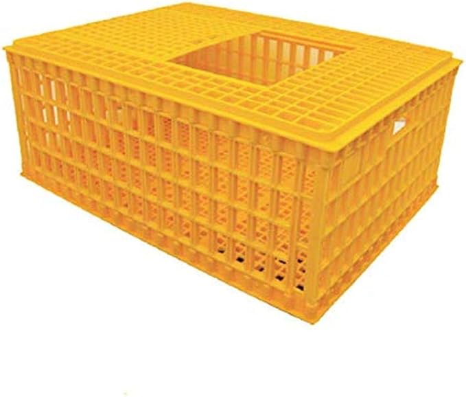 Economy Transport Coop 30.3" X 21.7" X 13"